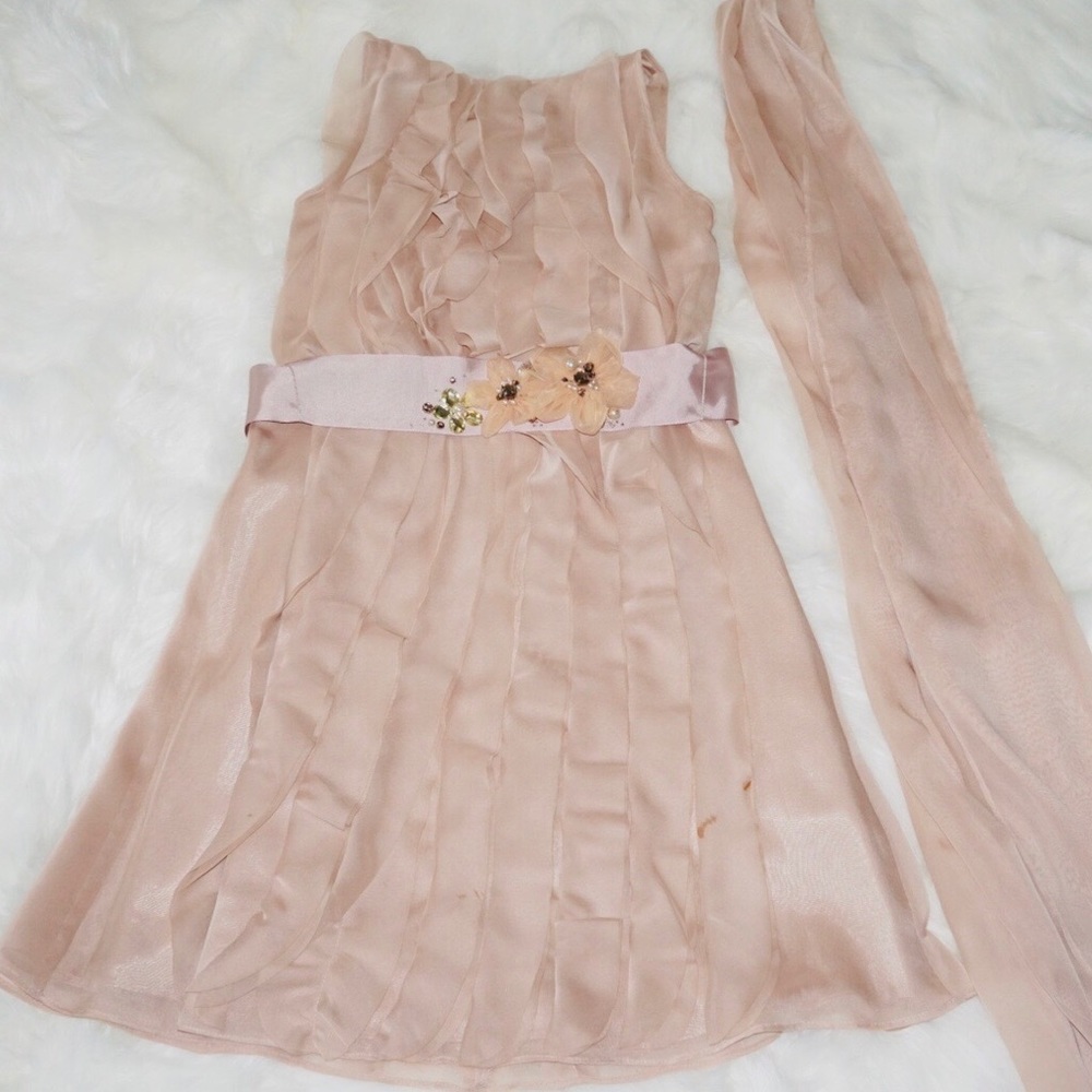 Dainty blush color dress